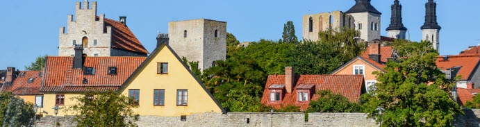 Energiutblick i Almedalen 2025