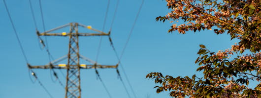 En kraftledning i v&aring;rsolen.