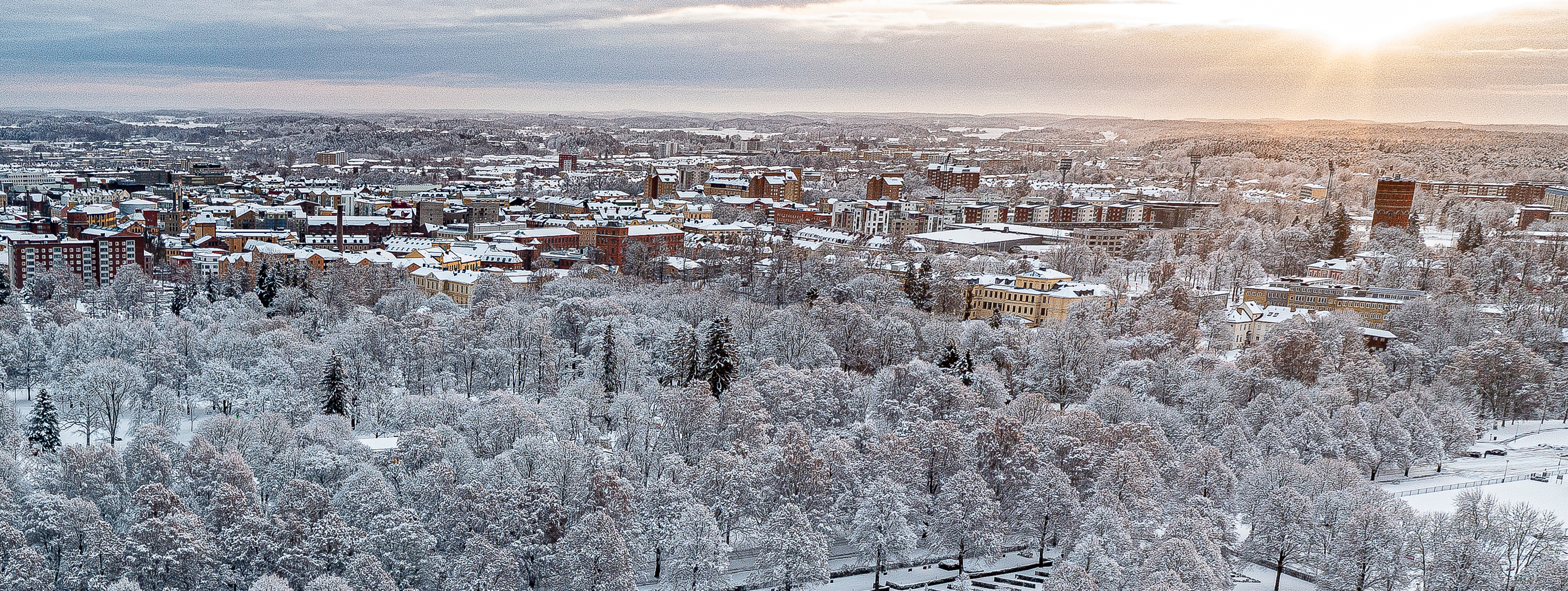 Kärnkraftens roll i energisystemet