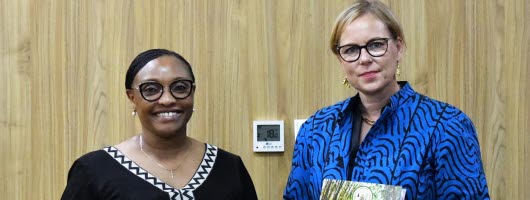 Sweden and Rwanda to cooperate on emissions trading