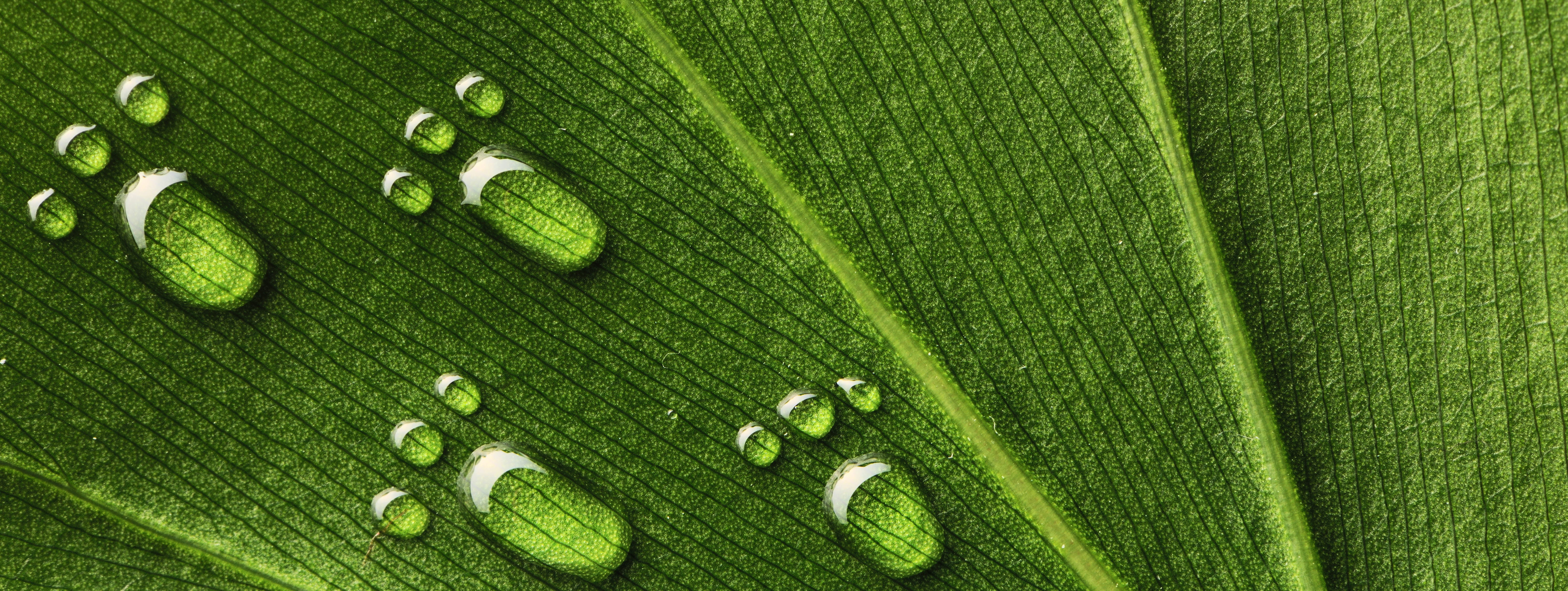 Uppföljning av energipolitiska mål