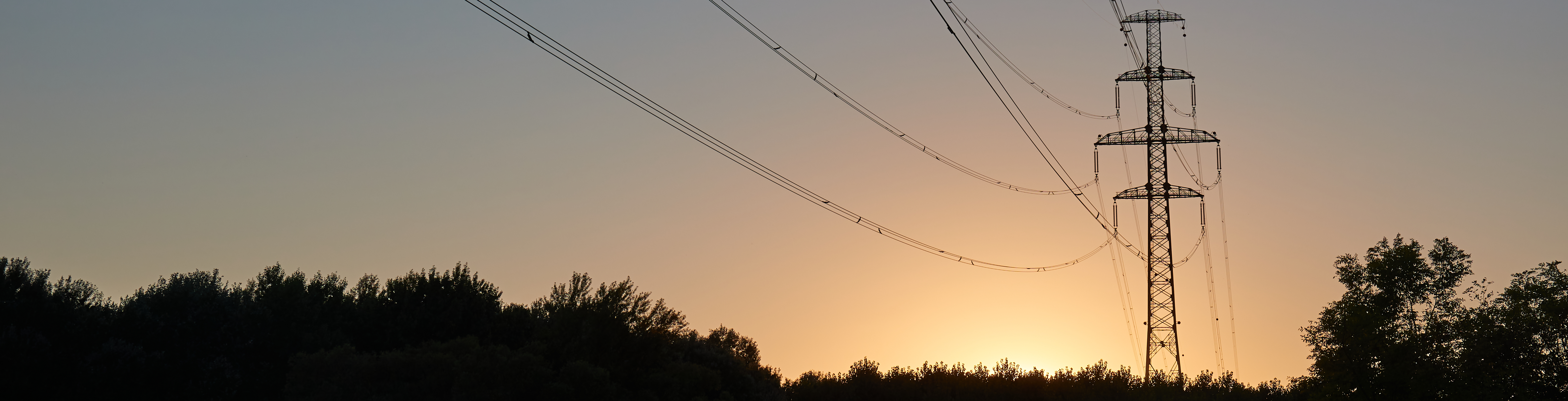 The Swedish energy system